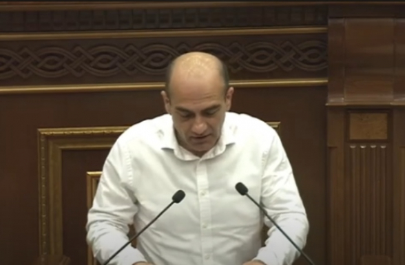 Առաջարկում եմ «քրեական» բառը փոխարինել «քաղաքական»-ով․ Թադևոս Ավետիսյան (տեսանյութ)